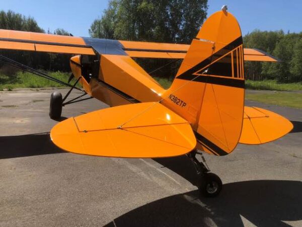 2019 Backcountry Cub rev. 3 - Image 9